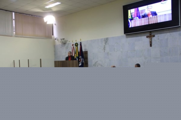 Imagem 1 da notícia: Comissão de Educação realiza reunião de lançamento do PME