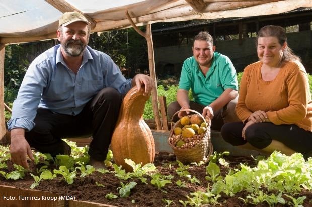 Imagem 1 da notícia: Alimentos orgânicos começam a ser incluídos na merenda escolar de Pouso Alegre
