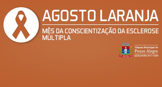 Imagem 1 da notícia: Agosto Laranja
