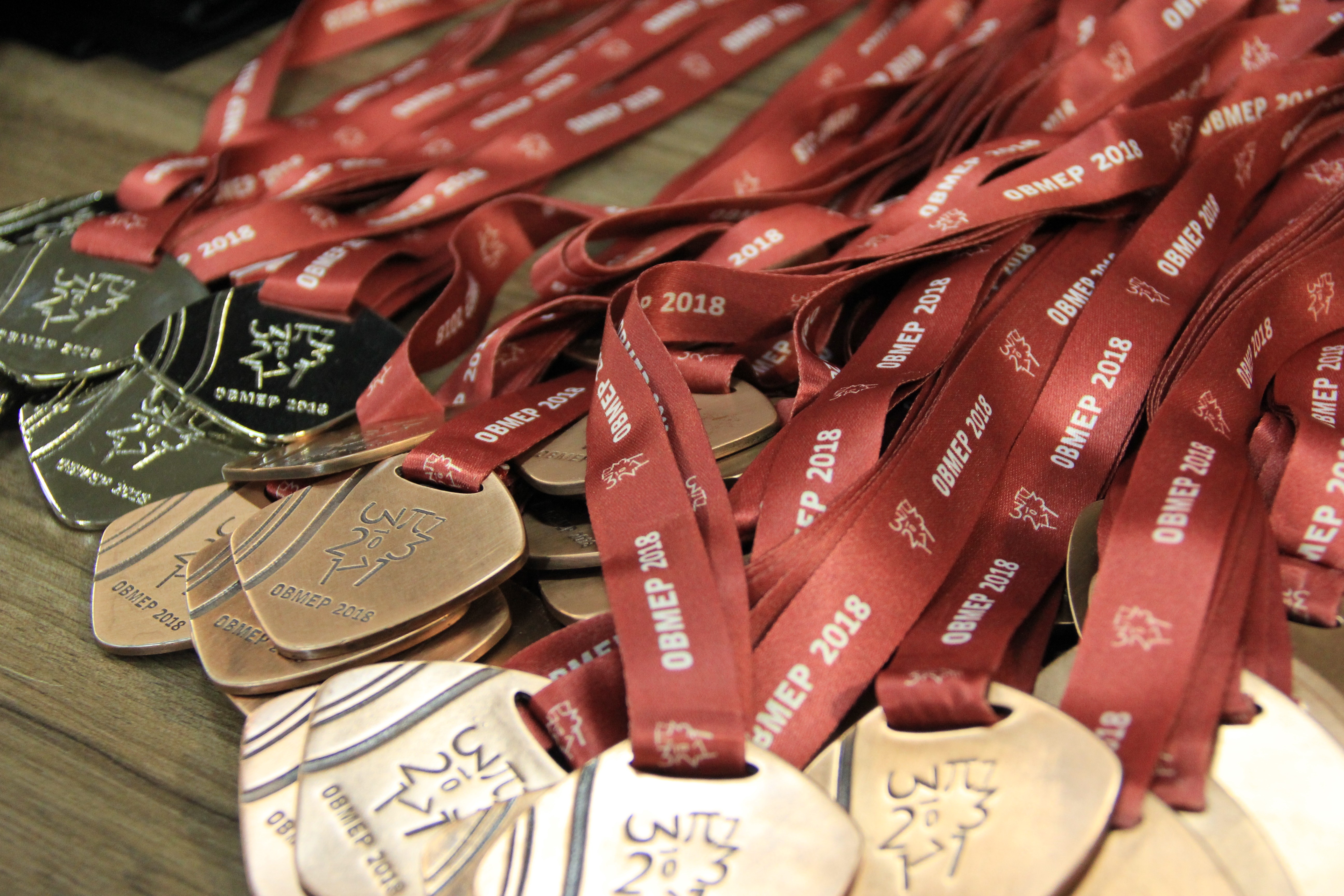 Imagem 8 da notícia: Vereadores acompanham entrega das medalhas da OBMEP 2019