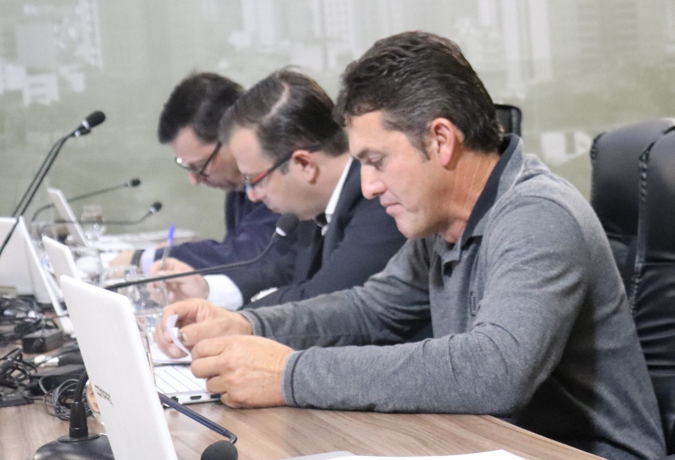 Imagem 1 da notícia: Vereadores criam "Dia municipal do Campo Limpo"