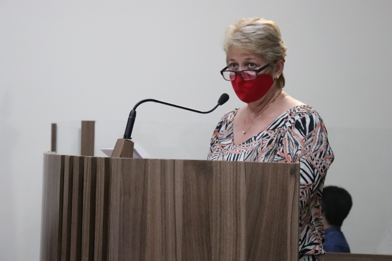 Imagem 1 da notícia: Secretária de Educação fala sobre ‘volta às aulas’ na Câmara