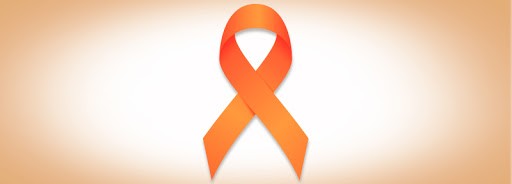 Imagem 1 da notícia: Câmara aprova "Fevereiro Laranja" em primeiro turno