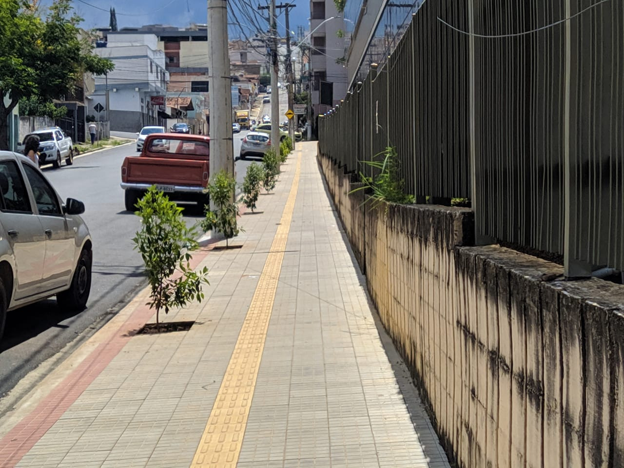Imagem 1 da notícia: 24 mudas de árvores são plantadas no entorno da Câmara
