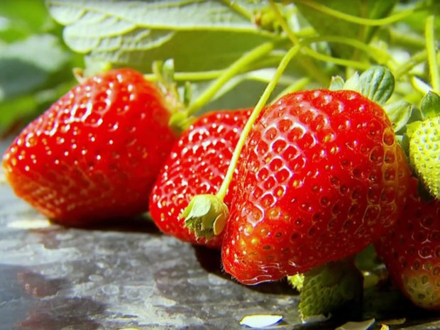 Imagem 2 da notícia: Em pauta: segurança na zona rural
