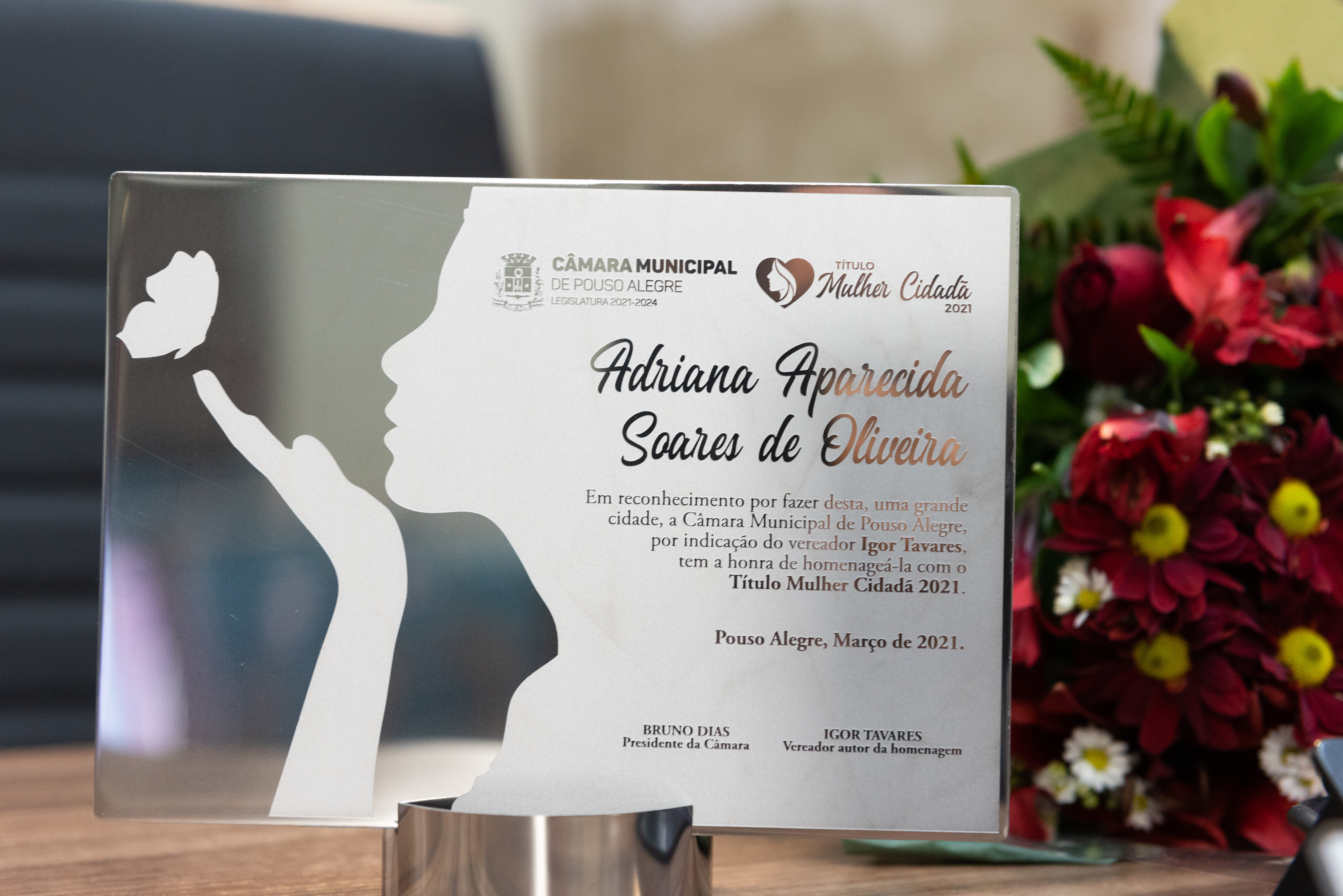 Imagem 1 da notícia: Câmara realiza entrega do título de Mulher Cidadã