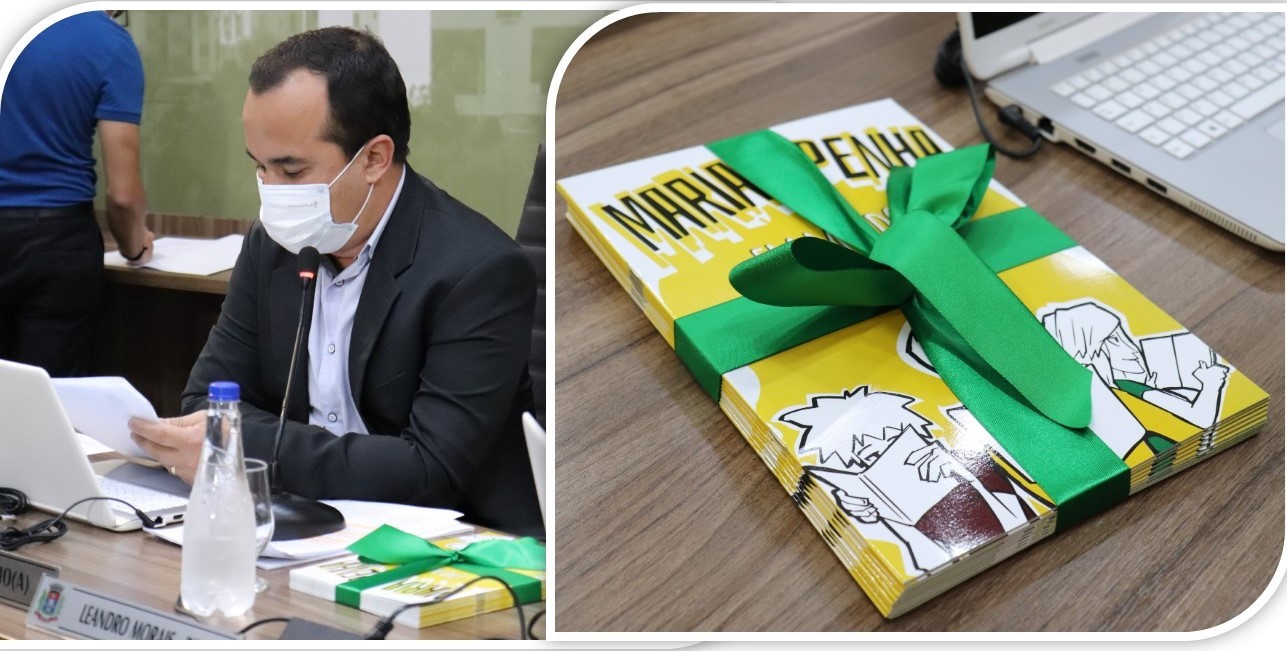 Imagem 1 da notícia: 15 anos da Lei Maria da Penha: vereadores recebem obra da ELPA que traz a lei em linguagem adaptada para crianças e jovens