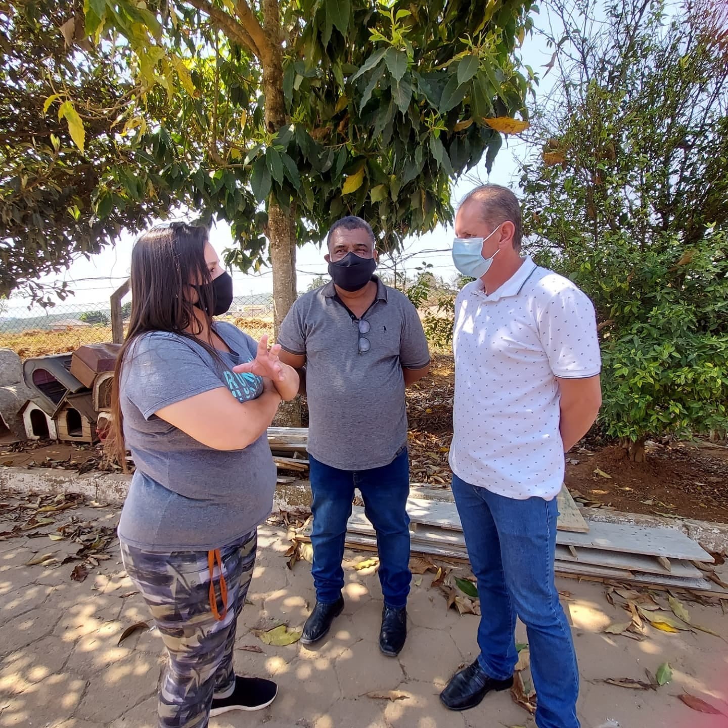 Imagem 1 da notícia: Comissão de Ordem Social intensifica ações de conscientização para adoção de cães durante Semana de Proteção Animal