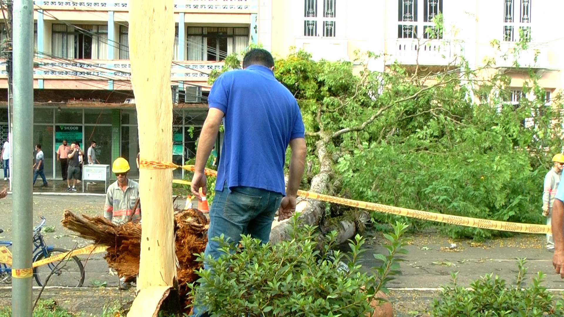 Imagem 3 da notícia: Presidente acompanha estragos causados por queda de árvores no centro da cidade