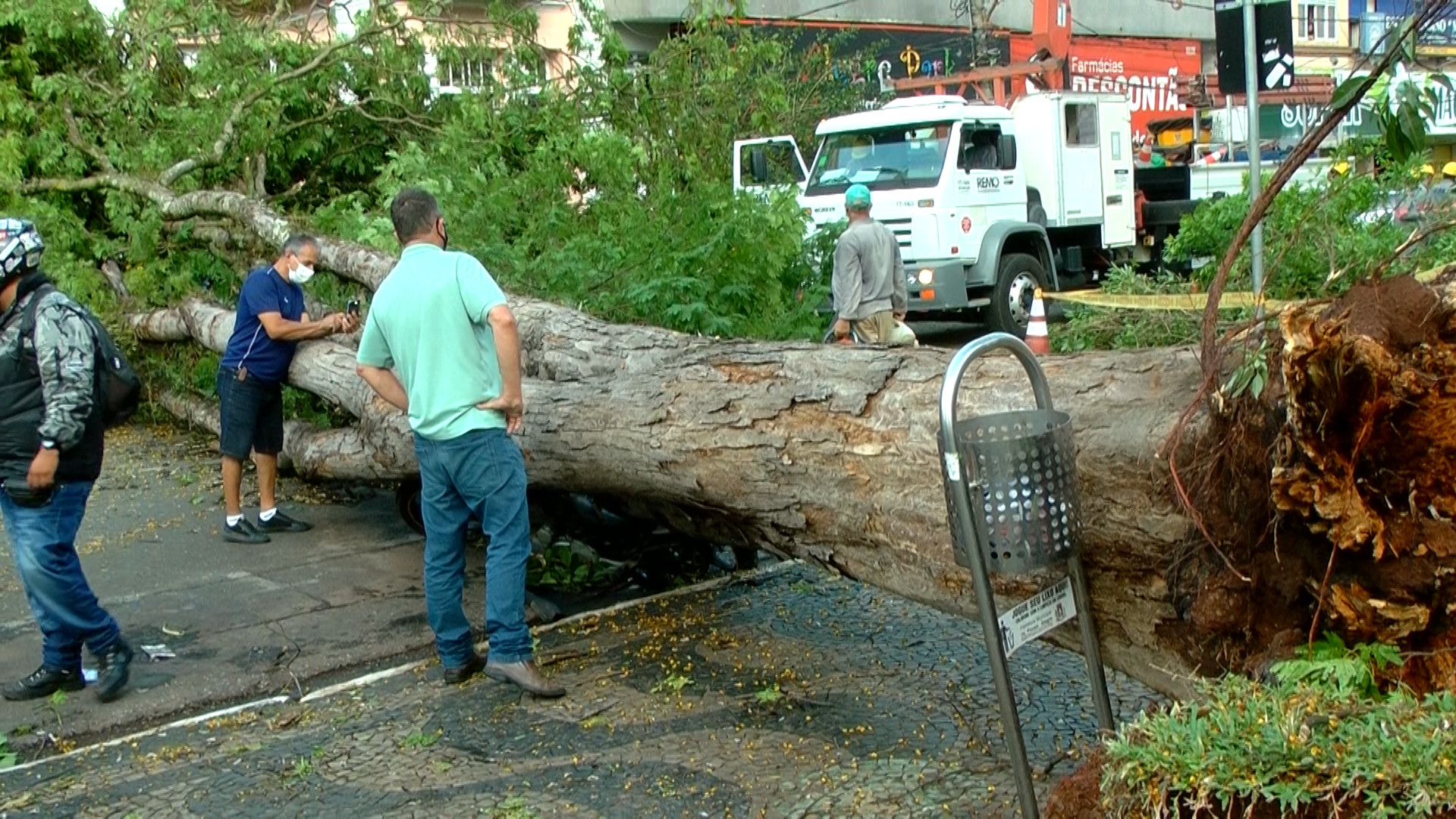 Imagem 2 da notícia: Presidente acompanha estragos causados por queda de árvores no centro da cidade