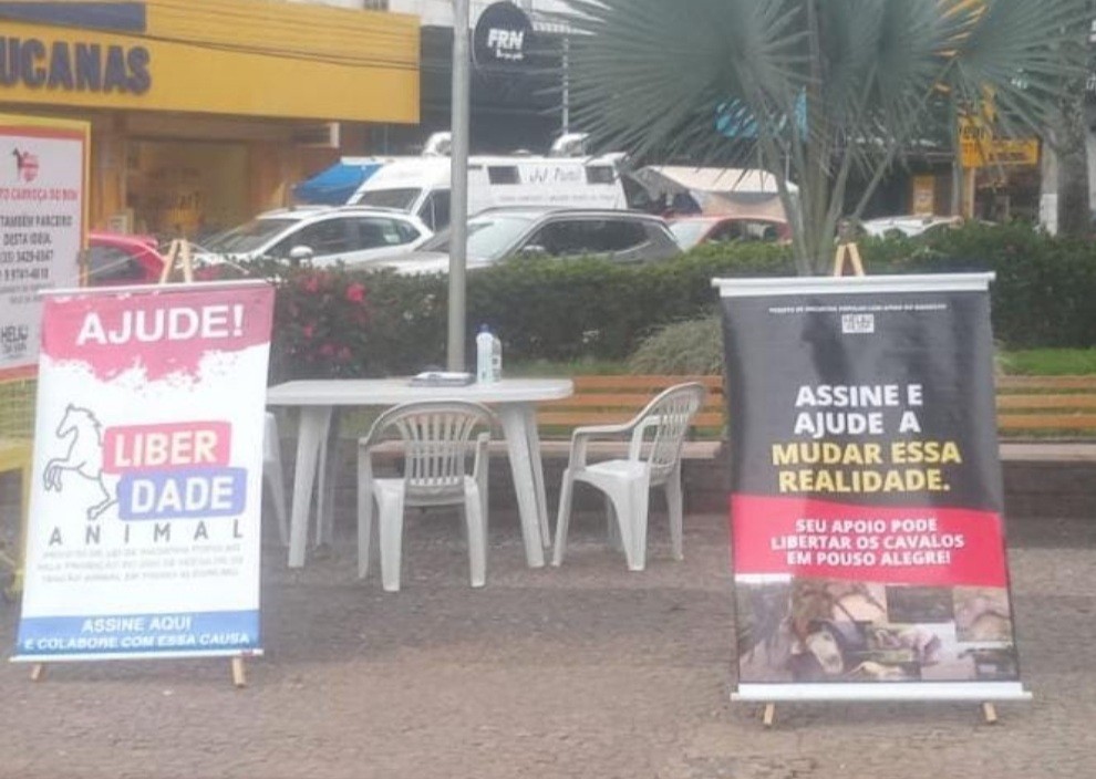 Imagem 1 da notícia: Vereador busca opinião popular para anteprojeto que proíbe veículo de tração animal