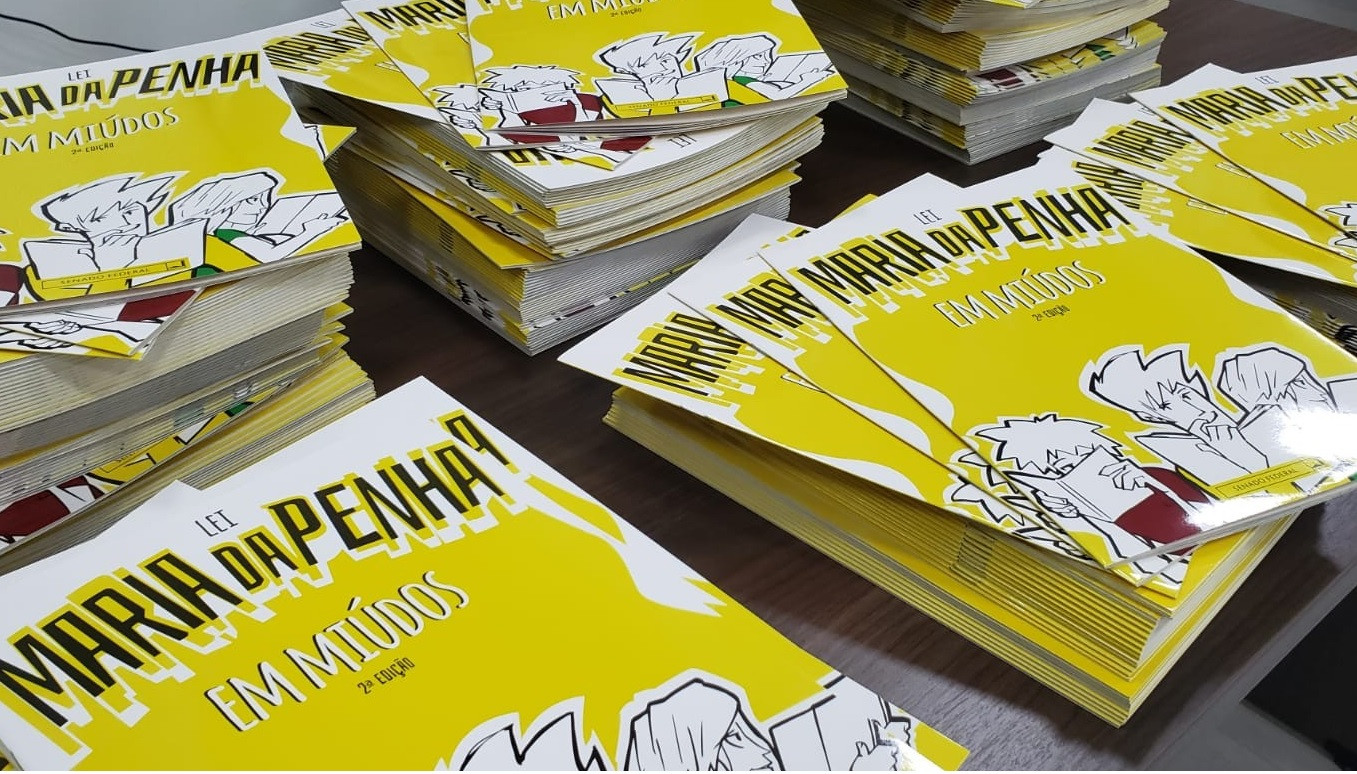 Imagem 1 da notícia: 16 anos da Lei Maria da Penha: Câmara vai prestar homenagem para educadores que aplicaram a obra Maria da Penha em miúdos nas escolas