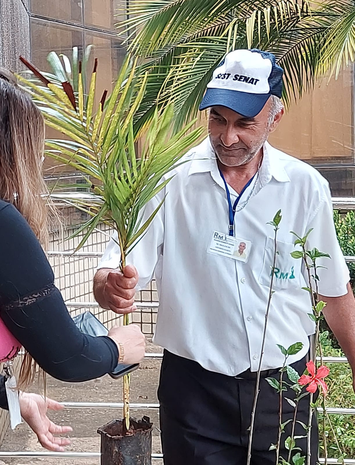 Imagem 1 da notícia: Semana da árvore -
