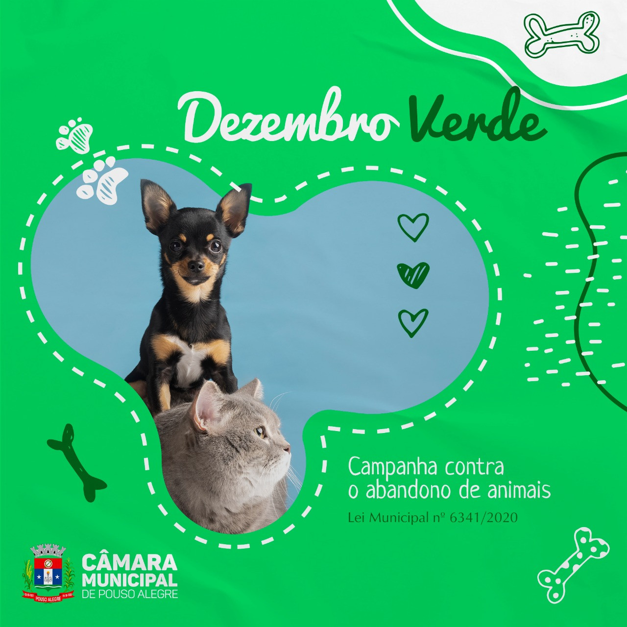 Imagem 1 da notícia: Dezembro Verde: Não ao abandono de animais