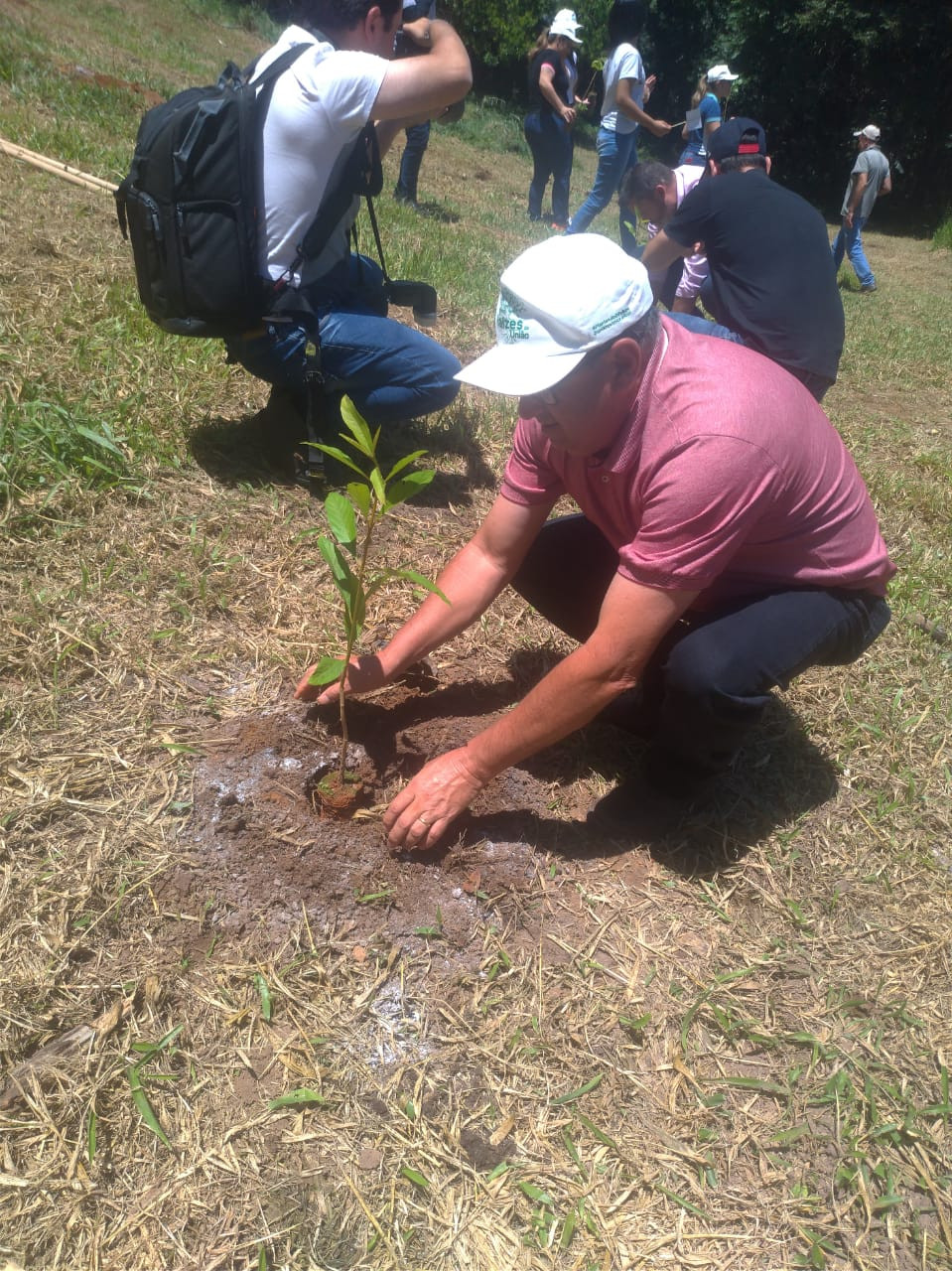 Imagem 5 da notícia: Vereadores participam do Projeto Raízes da União com plantio de mudas de árvores na Serra da Mantiqueira