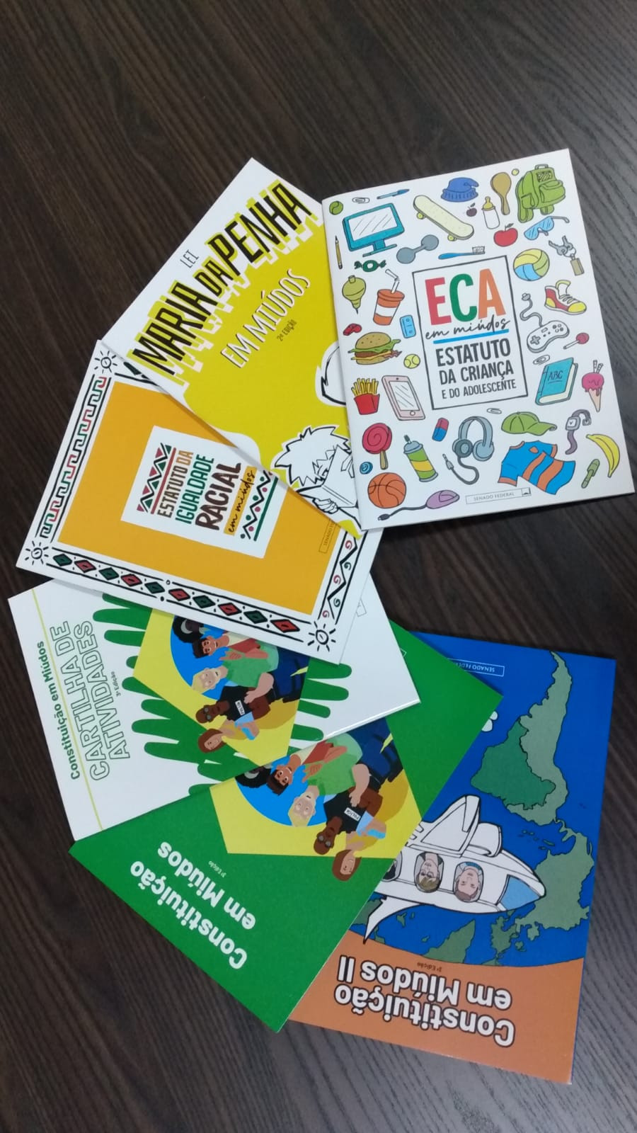 Imagem 1 da notícia: Projeto da Câmara de vereadores de Pouso Alegre é selecionado como modelo de aplicabilidade e será apresentado na Suíça durante seminário de cooperação técnica para outros países