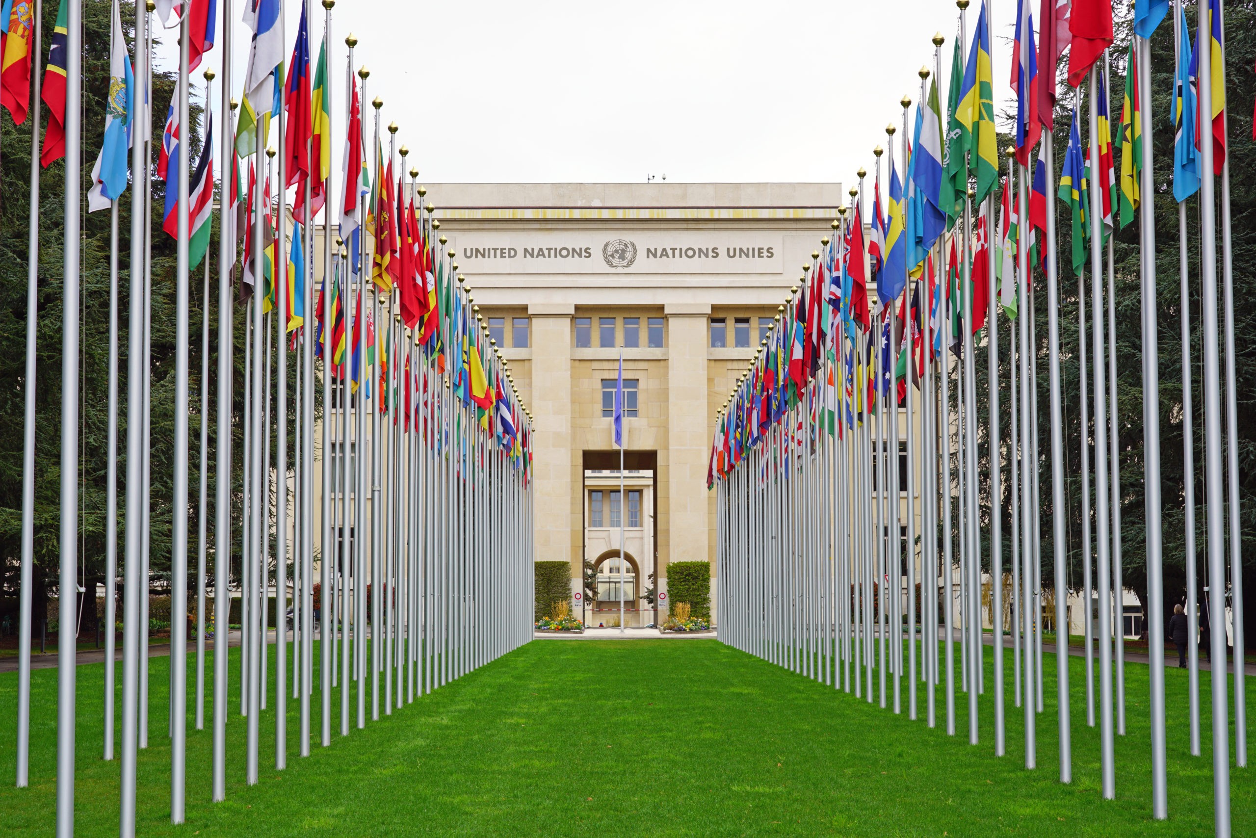 Imagem 1 da notícia: Destaque internacional: Escola do Legislativo da Câmara de Vereadores de Pouso Alegre é selecionada para representar o Brasil como modelo para cooperação técnica, na ONU