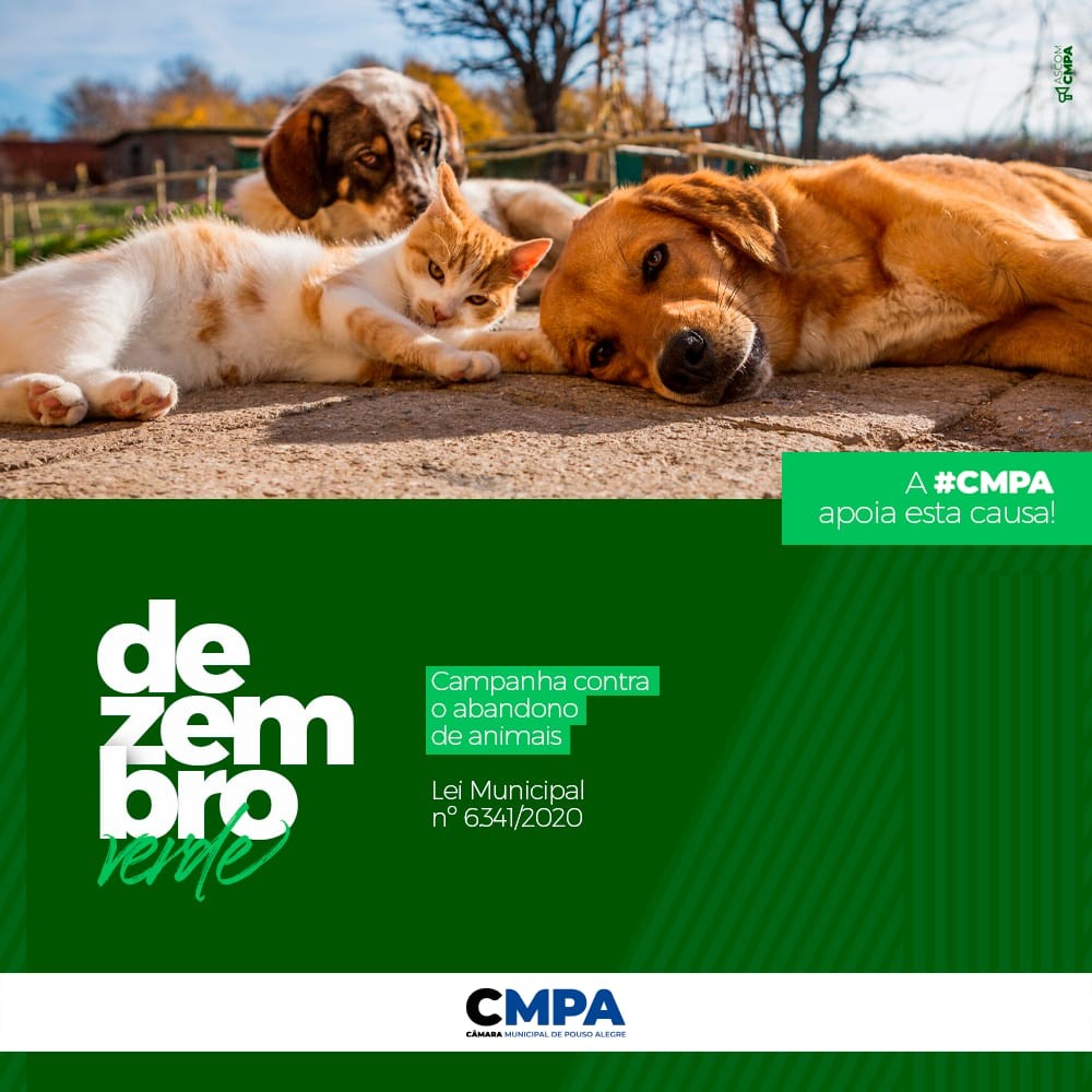 Imagem 1 da notícia: Dezembro Verde: Não ao abandono de animais