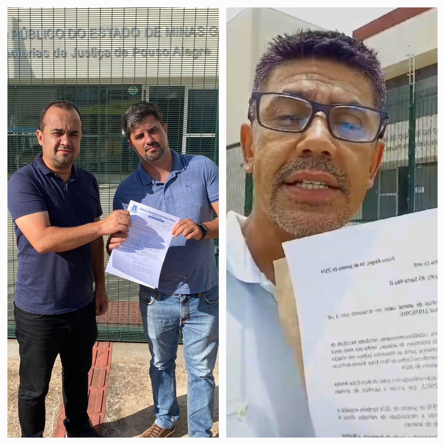 Imagem 1 da notícia: Vereadores protocolam no Ministério Público pedido de investigação sobre caso do pit bull